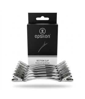 Epsilon Silver Hair Clips (12 pcs)
